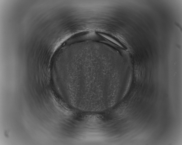 X0000099930488200806061457