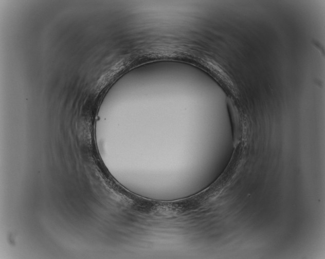 X0000099930489200806061457