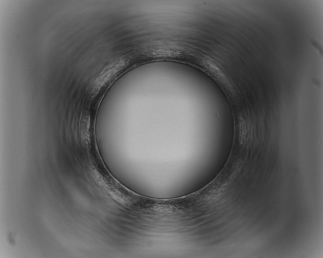 X0000099930490200806061457