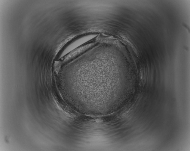 X0000099930492200806061457