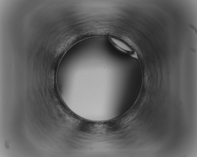 X0000099930493200806061457