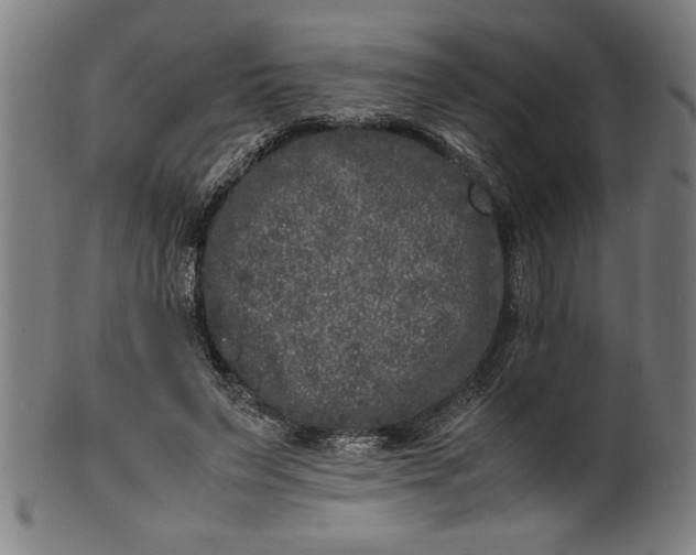 X0000099930495200806061457