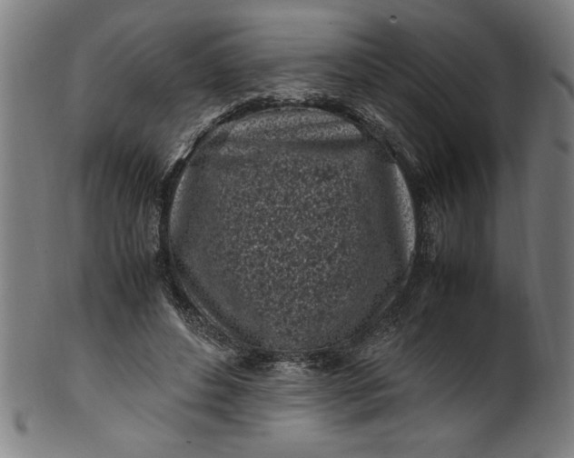 X0000099930496200806061457