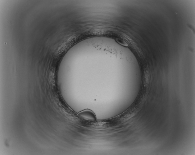 X0000099930497200806061457