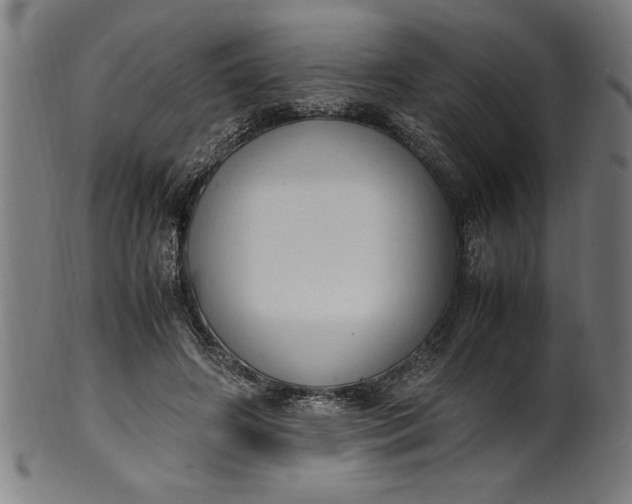 X0000099930498200806061457