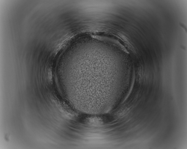 X0000099930500200806061457