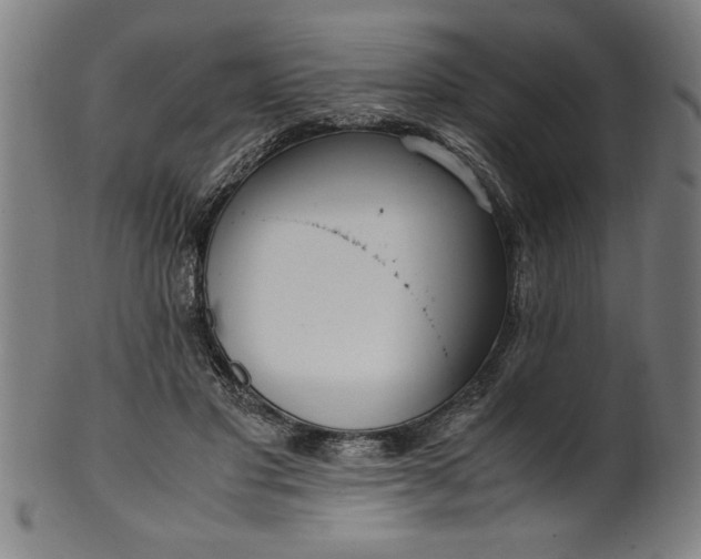 X0000099930501200806061457