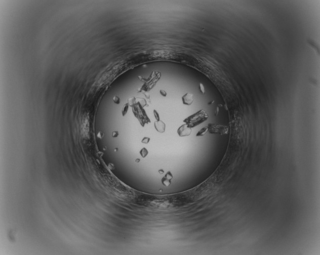 X0000099930502200806061457