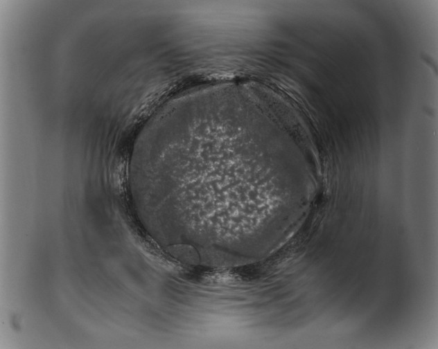 X0000099930503200806061457