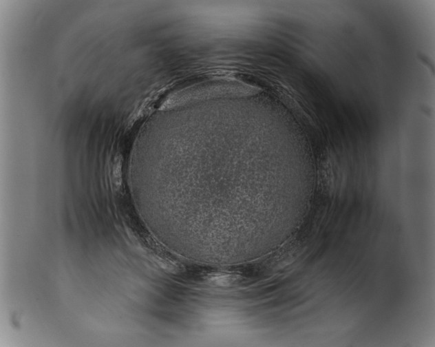 X0000099930504200806061457