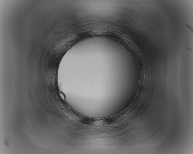 X0000099930505200806061457