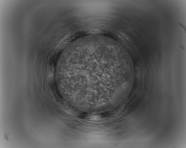 X0000099930507200806061457