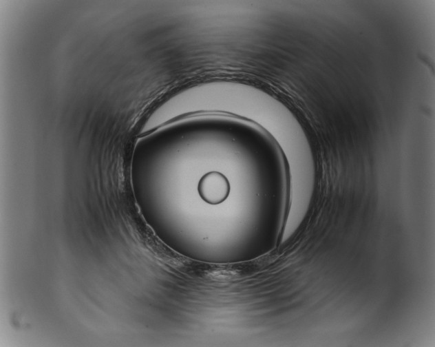 X0000099930508200806061457