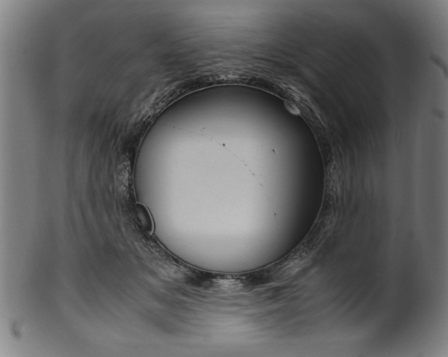 X0000099930509200806061457