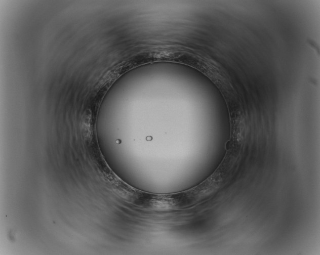 X0000099930510200806061457