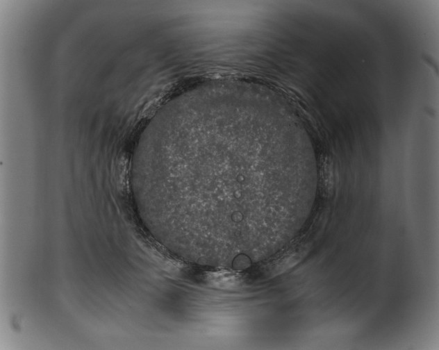 X0000099930511200806061457