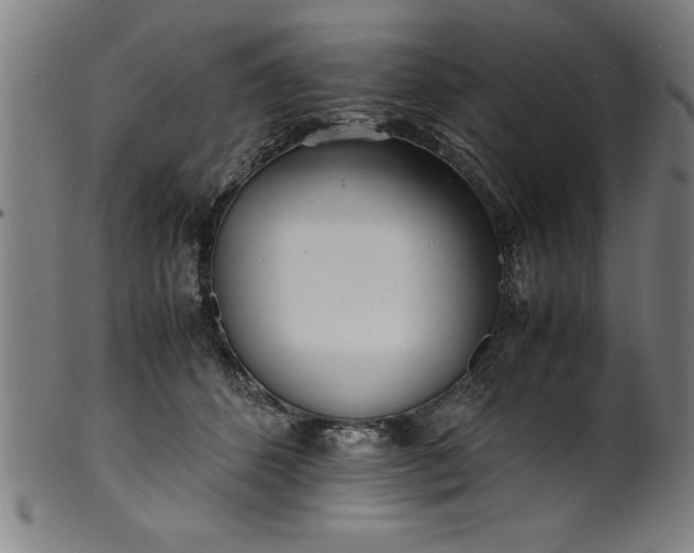 X0000099930512200806061457