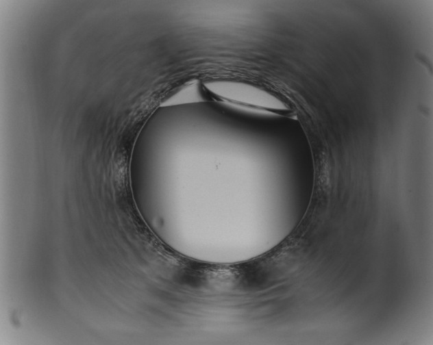 X0000099930513200806061457