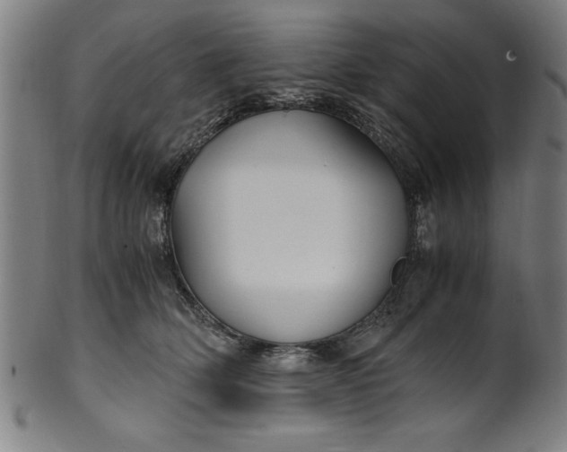 X0000099930514200806061457