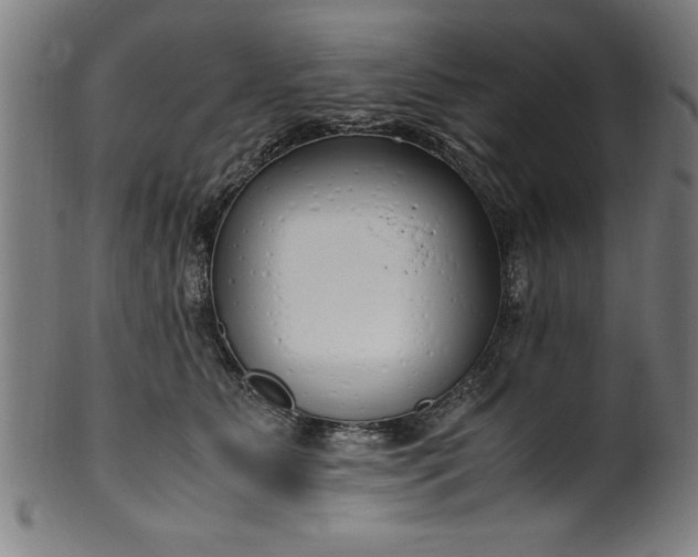 X0000099930515200806061457