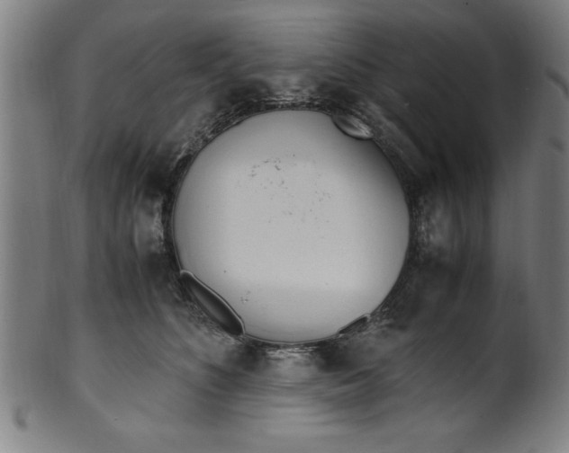 X0000099930516200806061457