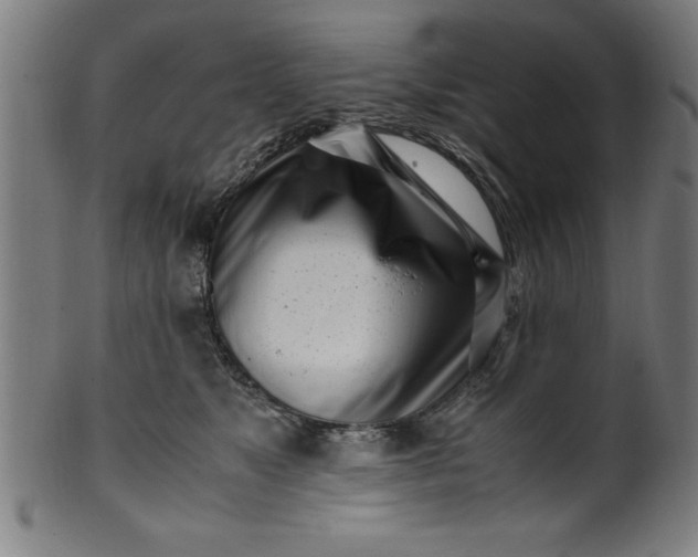 X0000099930517200806061457