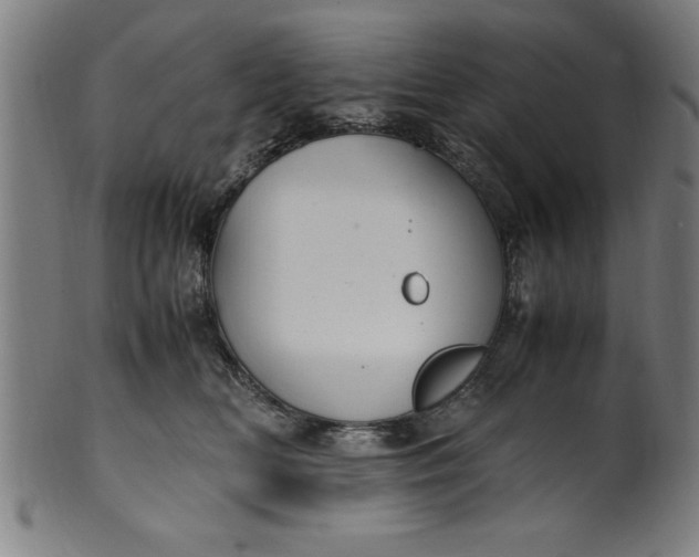 X0000099930518200806061457