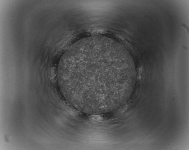 X0000099930519200806061457