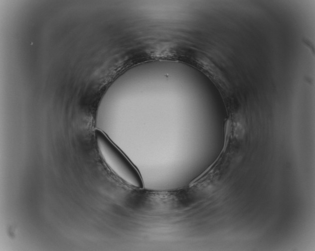 X0000099930521200806061457