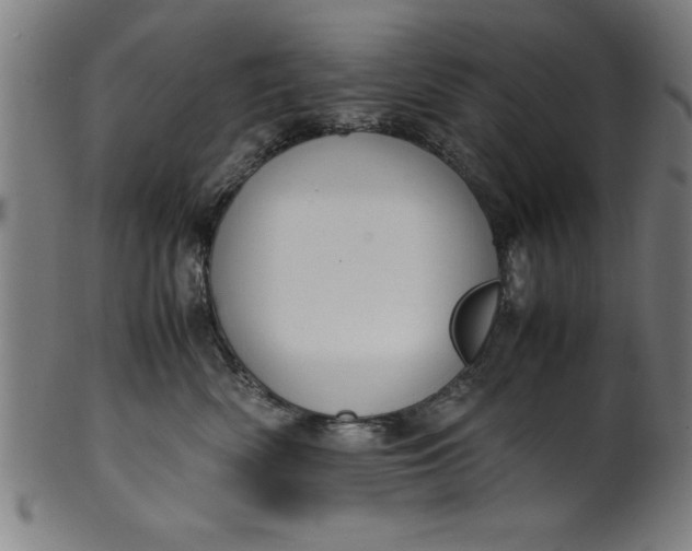 X0000099930522200806061457