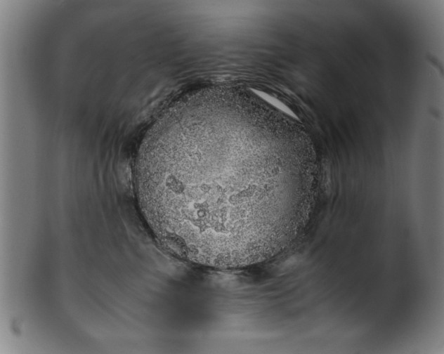 X0000099930523200806061457