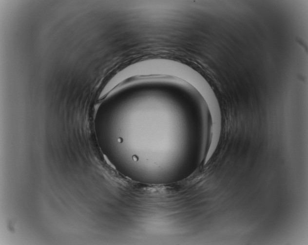 X0000099930524200806061457