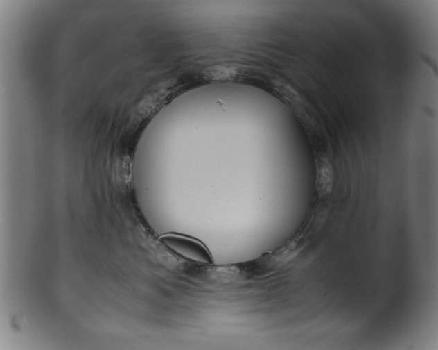 X0000099930525200806061457