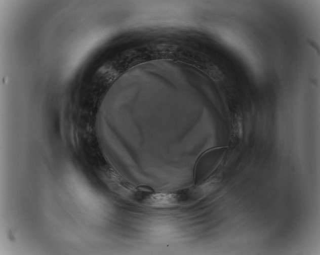 X0000099930526200806061457