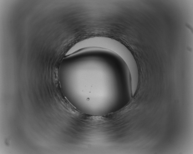 X0000099930528200806061457