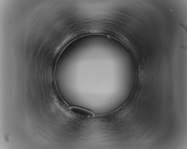 X0000099930530200806061456