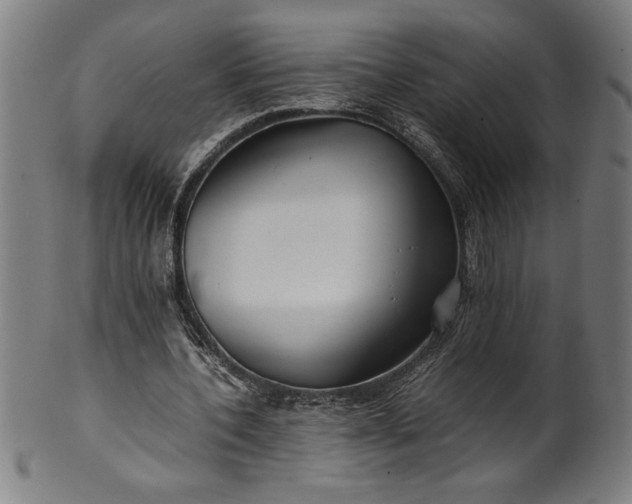 X0000099930532200806061456