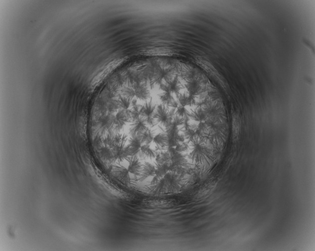 X0000099930533200806061456