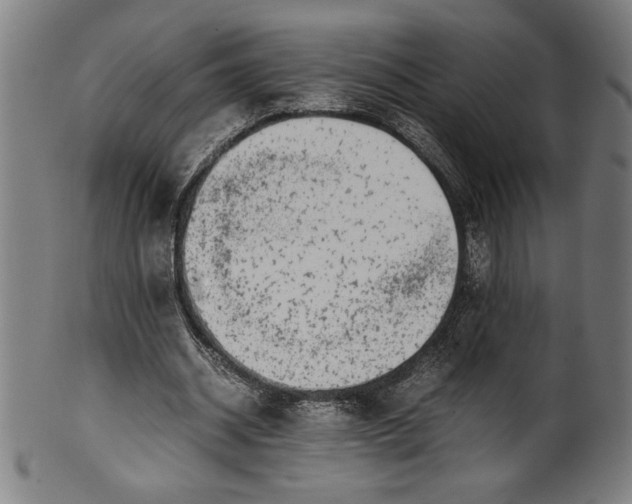 X0000099930534200806061456