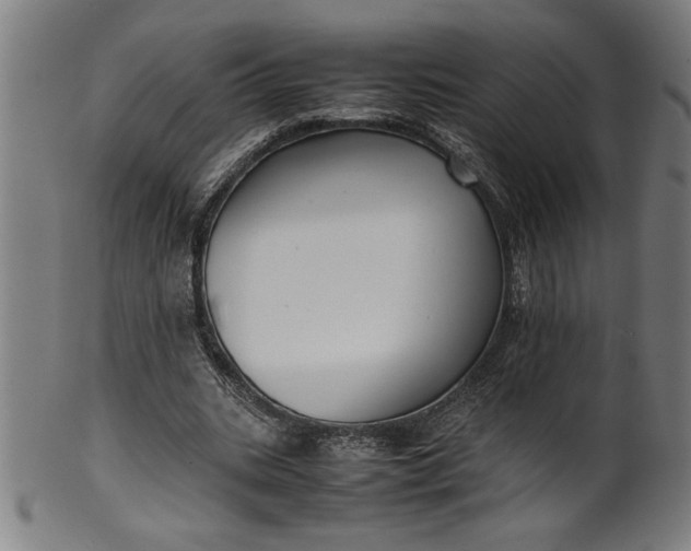 X0000099930535200806061456