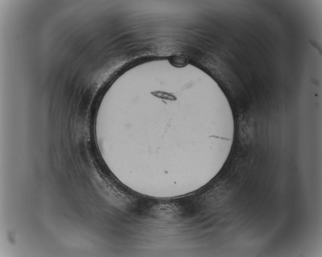 X0000099930536200806061456