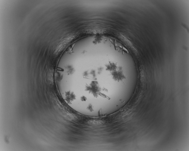 X0000099930537200806061456