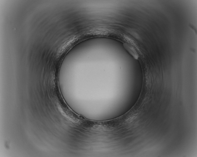 X0000099930538200806061456