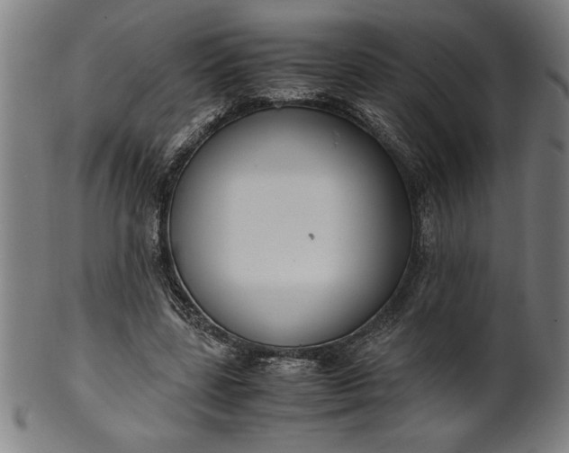 X0000099930539200806061456