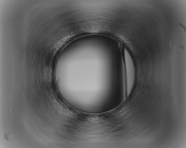 X0000099930540200806061456