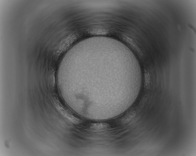 X0000099930541200806061456