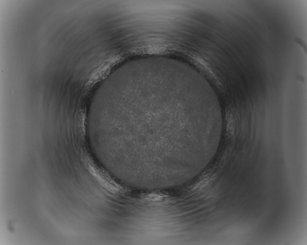 X0000099930542200806061456