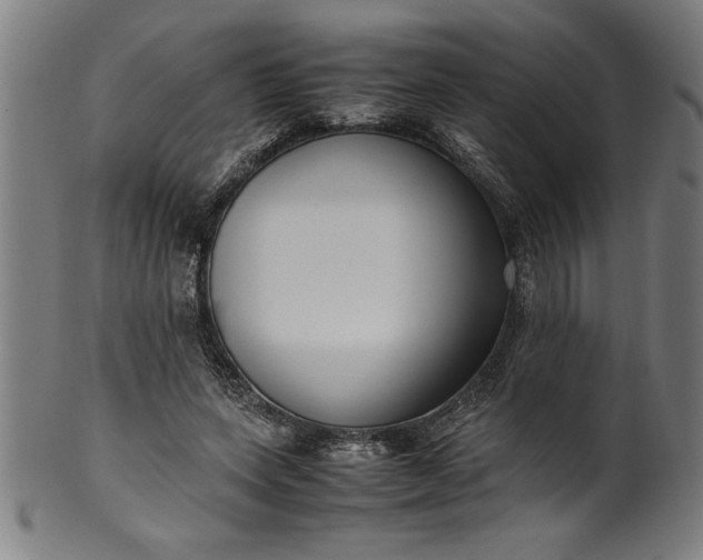 X0000099930543200806061456