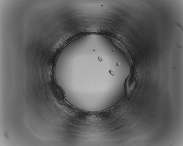 X0000099930544200806061456