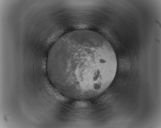 X0000099930545200806061456